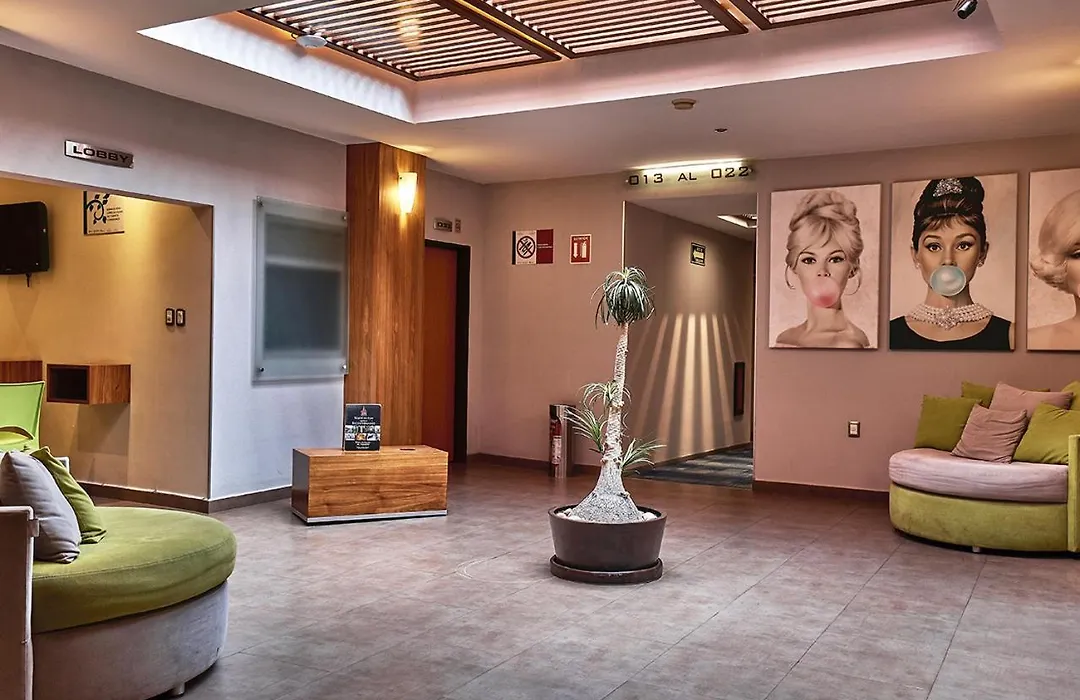 Hotel El Conde Naucalpan Only Adults-1