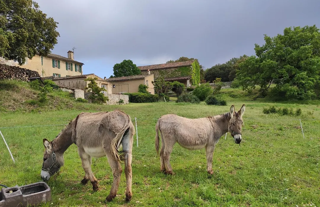 Domaine de la Blaque - B&B-1