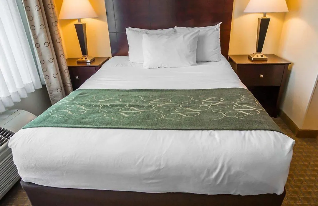Comfort Suites University Area Notre Dame-South Bend-1