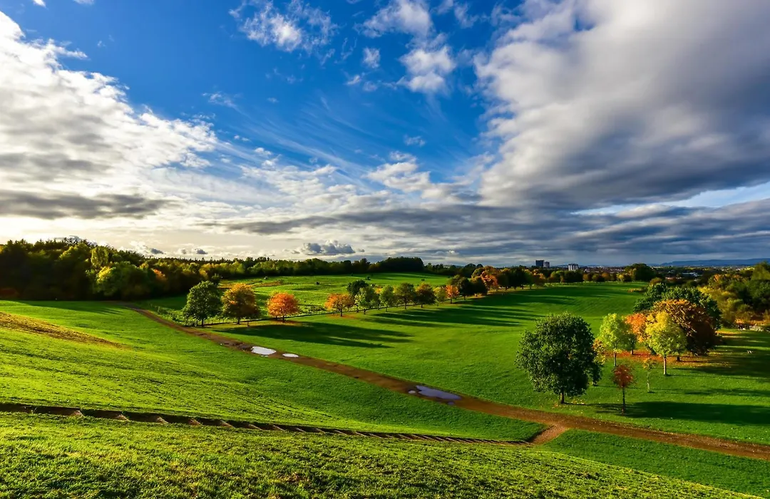 Holiday Inn Express Hamilton By Ihg-1