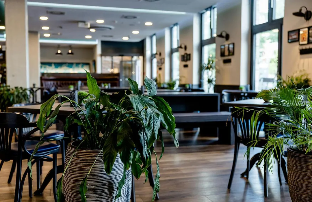 ibis Styles Kiel City-1