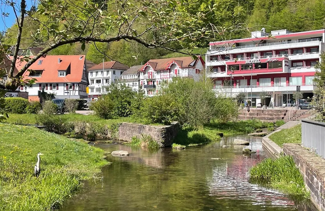 Hotel Harzer am Kurpark-1
