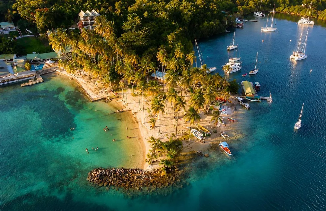 Oasis Marigot-1