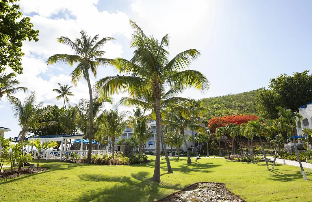 Limetree Beach Resort By Club Wyndham-1