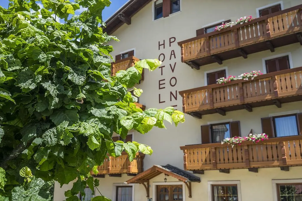 Hotel Pavone-1