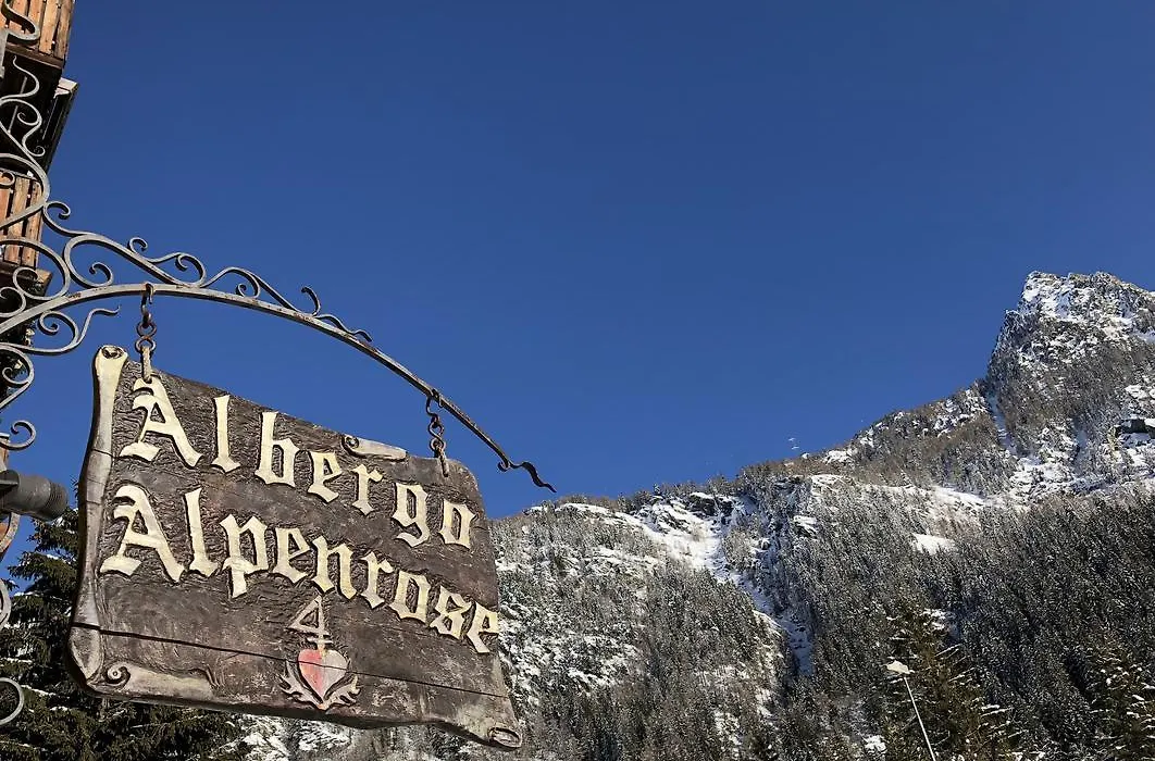 Albergo Alpenrose Ski&Bike Mountain Hotel-1