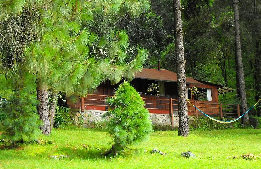 Cabañas Alpinas López Fontes-1