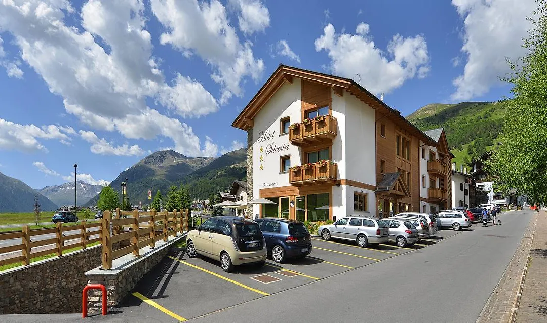 Hotel Silvestri-1