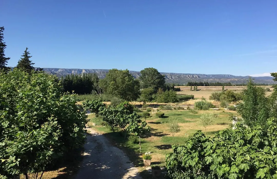 Auberge Les Olivades-1