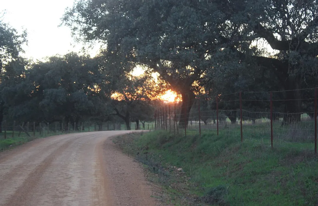 La Posada Del Infante-1