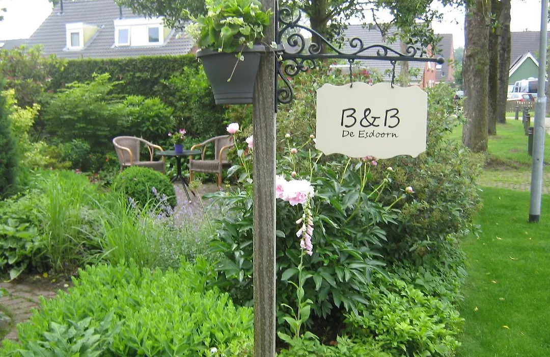 B&B De Esdoorn-1