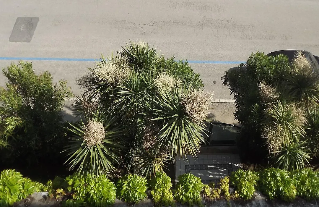 Hotel Parco-1