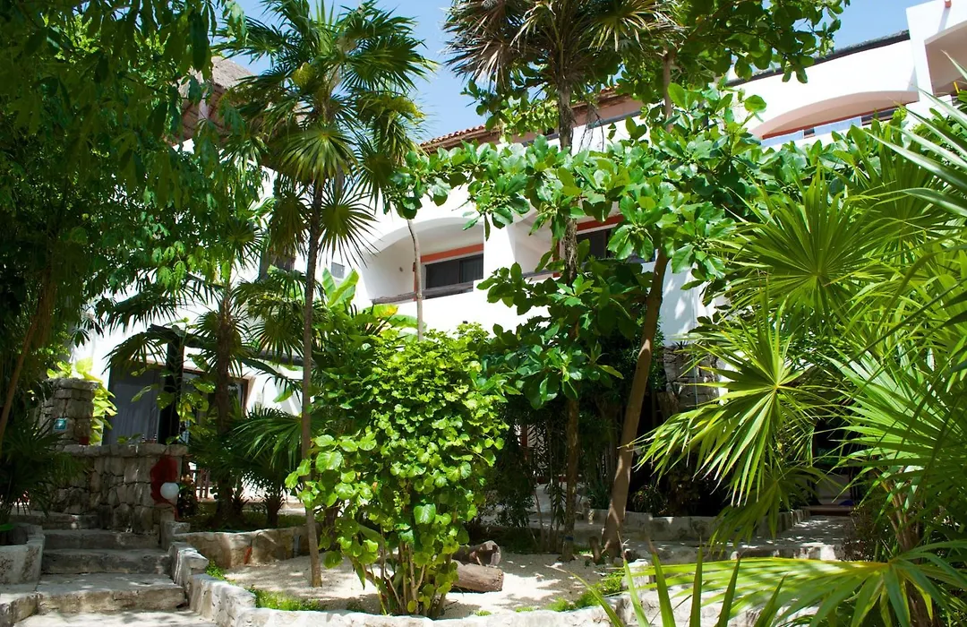 Pelicano Inn Playa Del Carmen - Beachfront Hotel-1