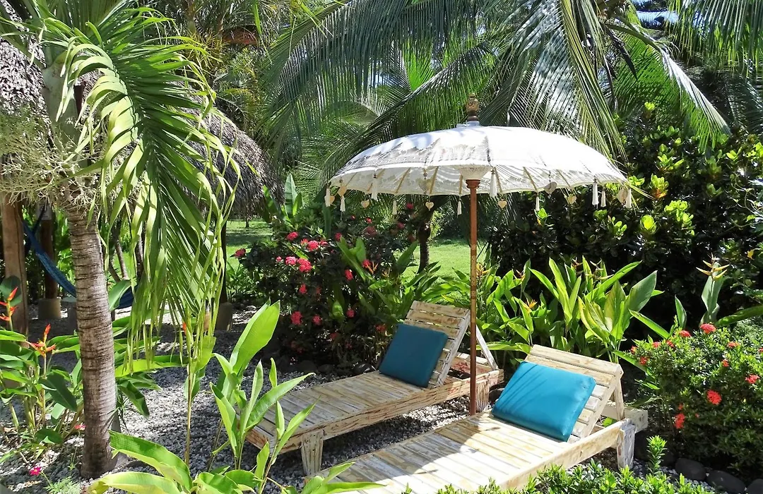 Indigo Yoga Surf Resort-1