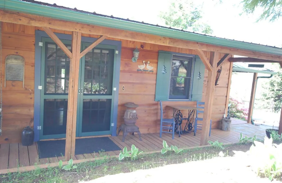 Mountain Springs Cabins-1