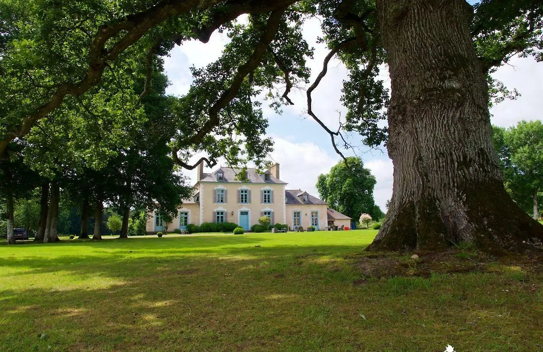 Château Du Pin - Les Collectionneurs-1