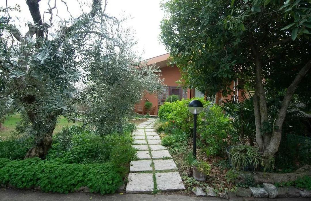 El Rincon del Artista-1