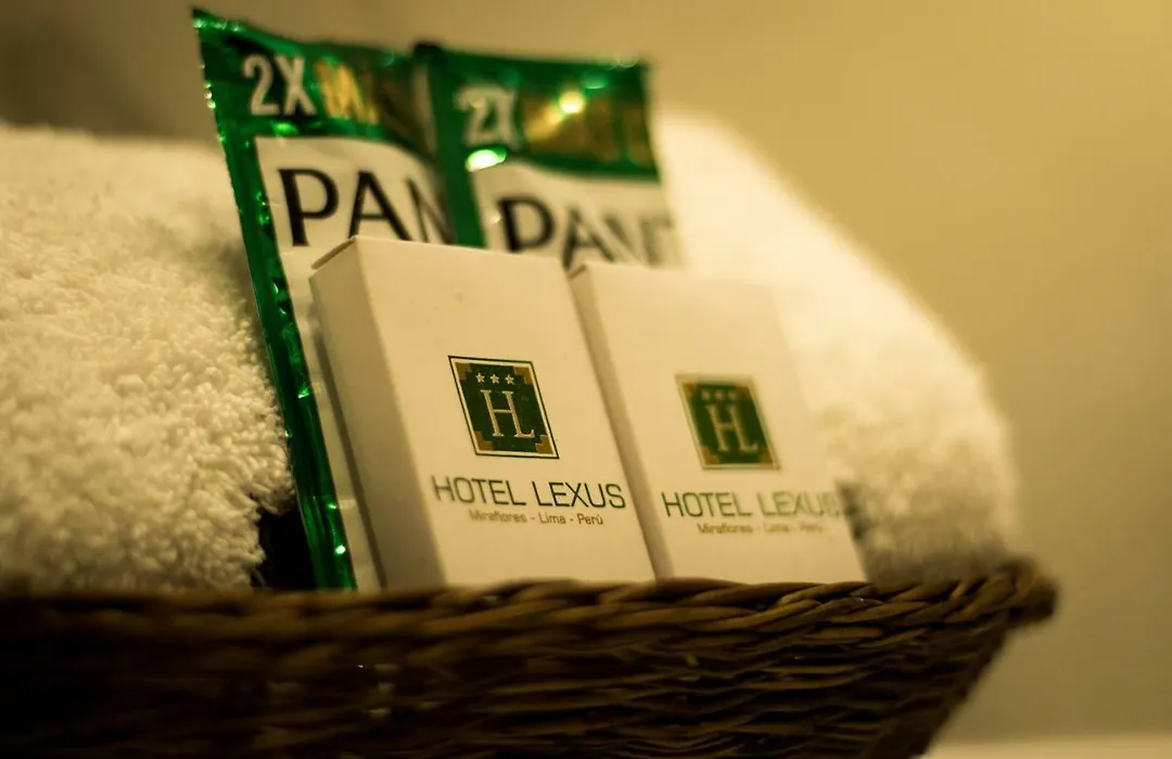 Hotel Lexus-1