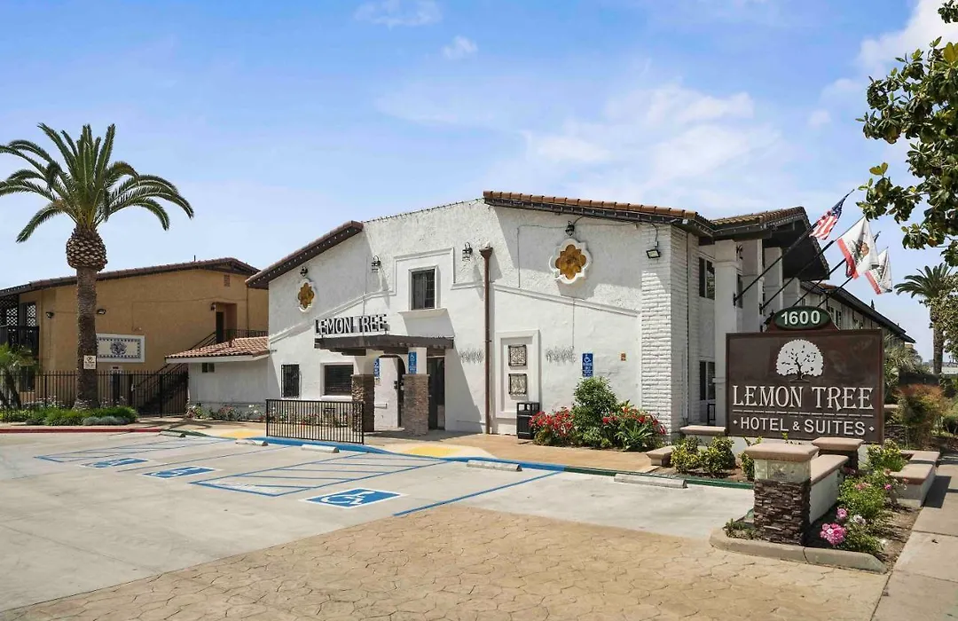 Lemon Tree Hotel And Suites-1