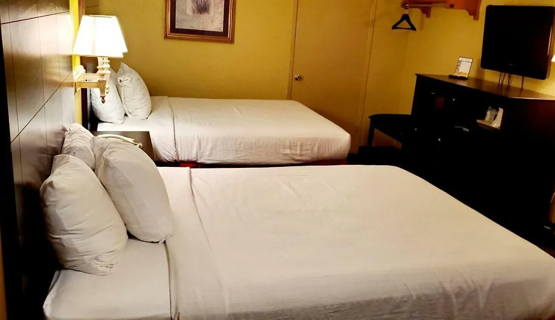 Sweet Dream Inn-1