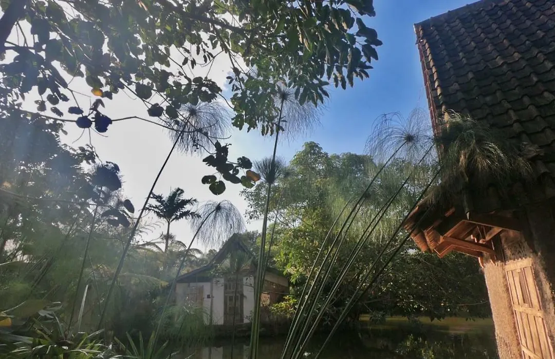 Sapulidi Cafe, Gallery & Resort-1