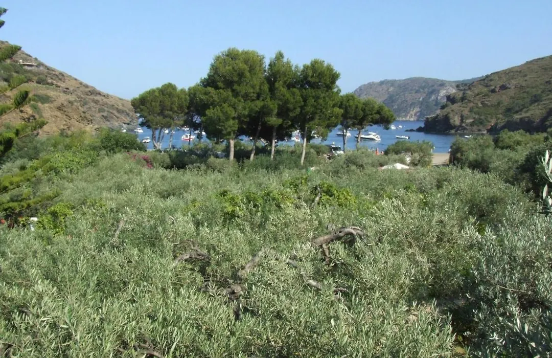 Hotel Cala Joncols-1
