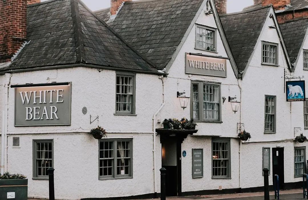 The White Bear-1