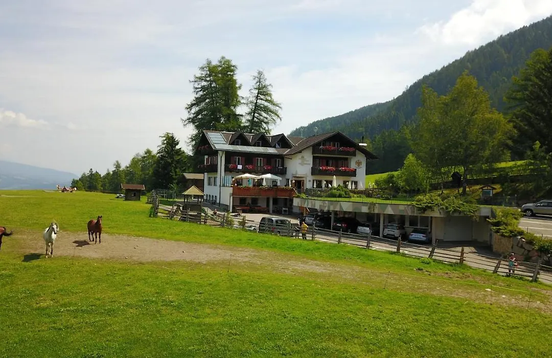 Gasthof Schneiderwiesen-1