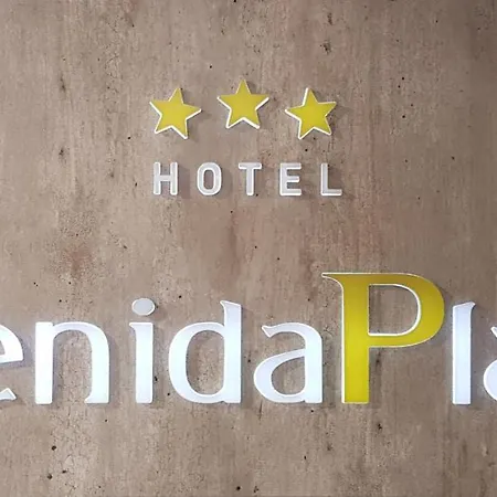 Hotel Avenida Plaza-2