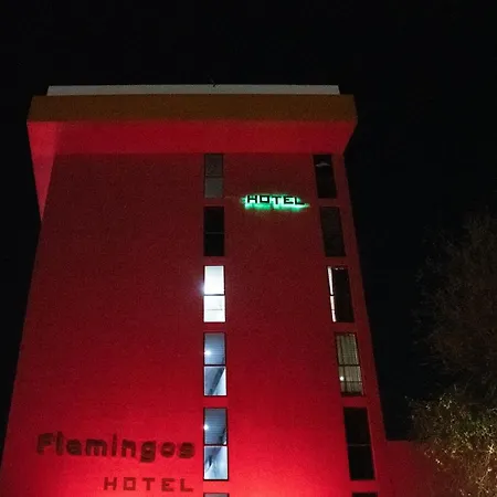 Hotel Flamingos-3