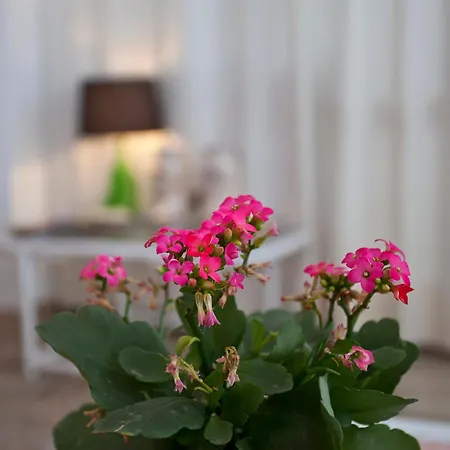 Galaxia Boutique Hotel-2