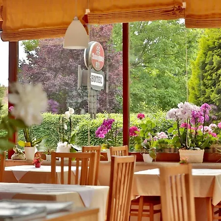 Hotel Reineldis-3