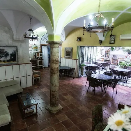 Hotel Las Palmeras By Vivere Stays-2