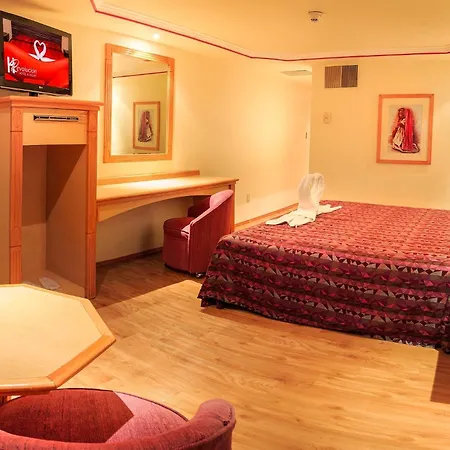 Hotel Revolución-3