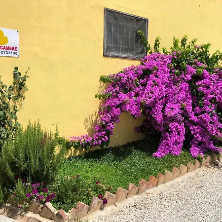 La Nana Gialla-2