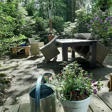 De Boshut Vledder-3