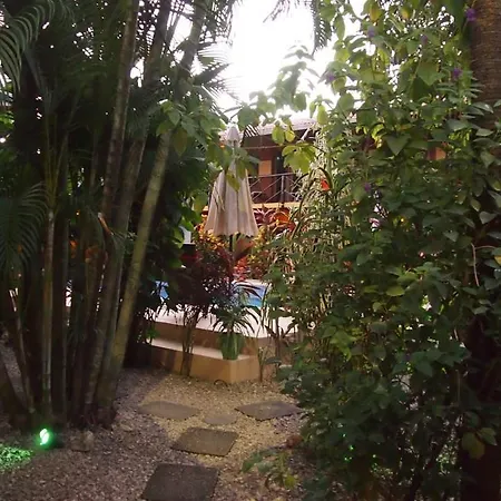 Samara Palm Lodge-2