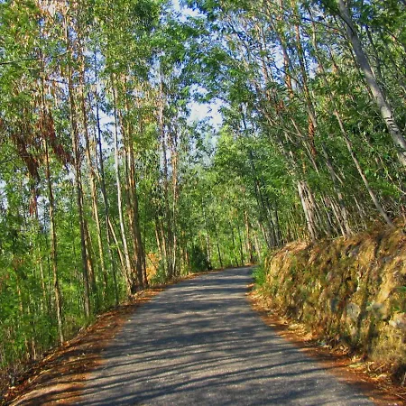 Quinta No Pinhal-3
