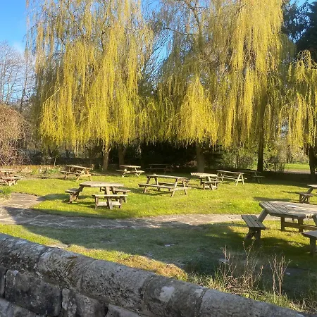 The Royal Oak-3