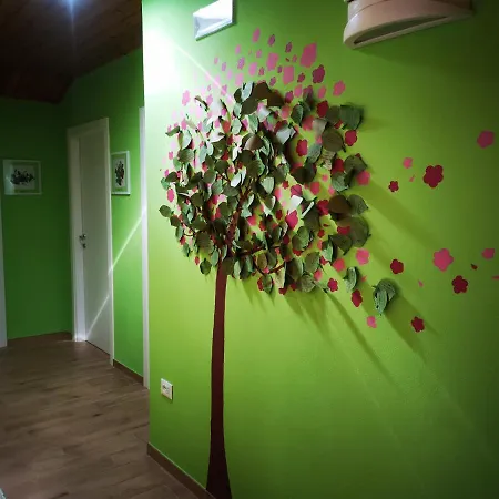 Maso Sveseri-3
