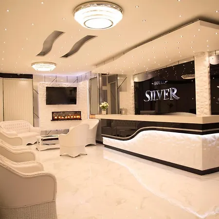 Hotel Silver Guarne-2
