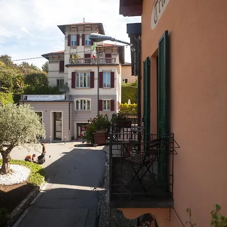 Il Grifo-3