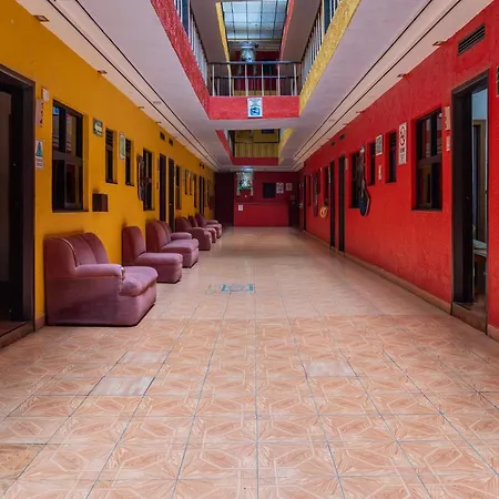 Hotel Vista Alegre-3