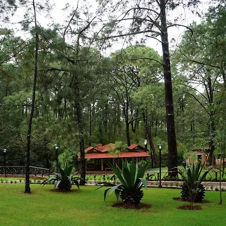 Rincón del Bosque-2