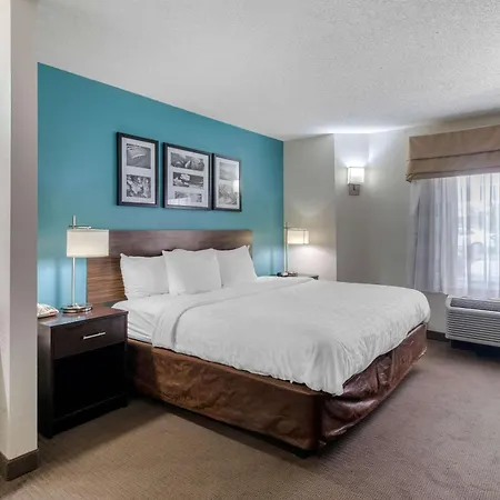 Clarion Inn & Suites Dfw North-3