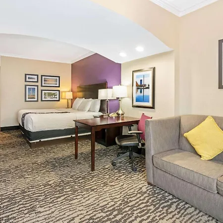 La Quinta By Wyndham Houston - Magnolia-2