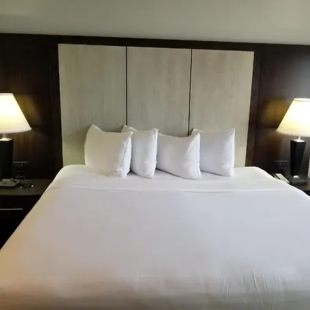 Wyndham Garden Hotel - Jacksonville-2