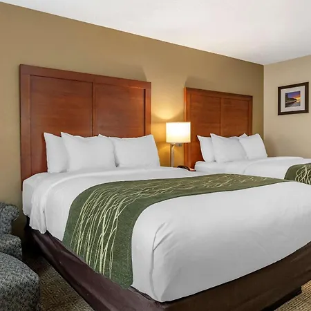 Comfort Inn & Suites Dimondale - Lansing-3