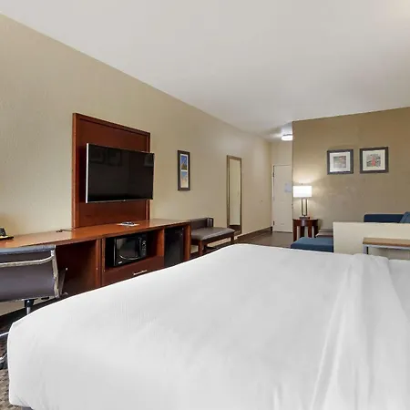 Comfort Inn & Suites Near Six Flags & Medical Center-2
