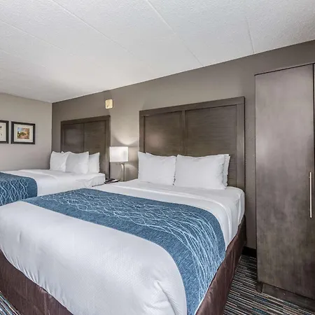 Comfort Inn Chicago Schaumburg - O'Hare Airport-3